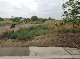  Land for sale in Trece Martires City, Cavite, Trece Martires City