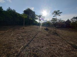  Land for sale in Bolivar, Arjona, Bolivar