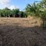  Land for sale in Bolivar, Arjona, Bolivar