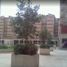 3 Habitación Apartamento en venta en Miguel Hidalgo, Ciudad de México, Miguel Hidalgo