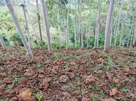  Grundstück zu verkaufen in Puerto Quito, Pichincha, Puerto Quito, Puerto Quito