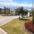  Land for sale in Tabacundo, Pichincha, Tabacundo