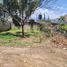  Land for sale in Del Centro, Oaxaca, Del Centro