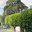 6 Bedroom Villa for sale in Alvaro Obregon, Mexico City, Alvaro Obregon, Mexico City