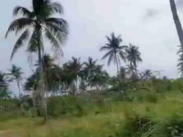  Land for sale in Surigao del Norte, Caraga, Del Carmen, Surigao del Norte