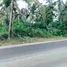  Land for sale in Del Carmen, Surigao del Norte, Del Carmen