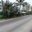  Land for sale in Surigao del Norte, Caraga, Del Carmen, Surigao del Norte