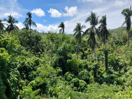  Grundstück zu verkaufen in Palawan, Mimaropa, Puerto Princesa City