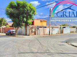  Terrain for sale in Petorca, Valparaiso, La Ligua, Petorca