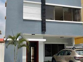 3 chambre Maison for rent in Guayas, Daule, Daule, Guayas