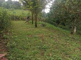  Terreno (Parcela) en venta en Pedro Vicente Maldonado, Pichincha, Pedro Vicente Maldonado, Pedro Vicente Maldonado