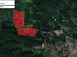  Land for sale in Dinalupihan, Bataan, Dinalupihan