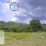  Land for sale in Dinalupihan, Bataan, Dinalupihan