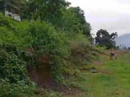  Terreno (Parcela) en venta en Cebu City, Central Visayas, Cebu City