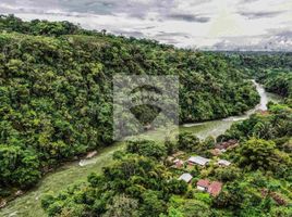  Terrain for sale in Napo, Tena, Tena, Napo