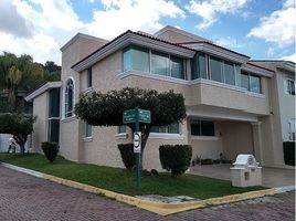 4 Habitación Departamento en venta en Guadalajara, Jalisco, Guadalajara