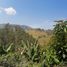  Grundstück zu verkaufen in Jerico, Antioquia, Jerico