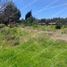  Land for sale in Cuautinchan, Puebla, Cuautinchan