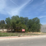  Land for rent in Aguascalientes, Aguascalientes, Aguascalientes, Aguascalientes