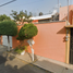 4 Schlafzimmer Haus zu verkaufen in Coyoacan, Mexico City, Coyoacan