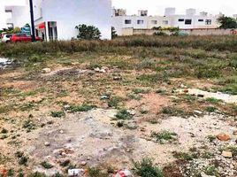  Terreno (Parcela) en alquiler en Cancún, Quintana Roo, Cancún, Quintana Roo