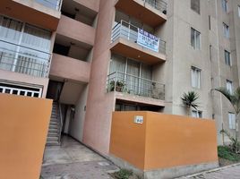 3 Schlafzimmer Appartement zu verkaufen in Puente Piedra, Lima, Puente Piedra