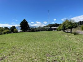  Land for sale in Conocoto, Quito, Conocoto