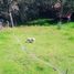  Land for sale in Chapa De Mota, Mexico, Chapa De Mota