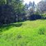  Land for sale in Chapa De Mota, Mexico, Chapa De Mota