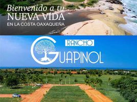  Terreno (Parcela) en venta en Dist Pochutla, Oaxaca, Dist Pochutla