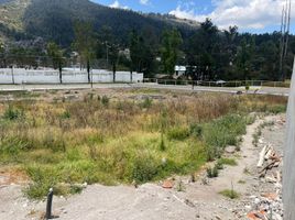  Land for sale in Alangasi, Quito, Alangasi