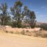  Land for sale in Jesus Maria, Aguascalientes, Jesus Maria