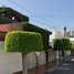 5 Schlafzimmer Villa zu verkaufen in San Andres Cholula, Puebla, San Andres Cholula
