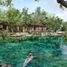 Grundstück zu verkaufen in Cozumel, Quintana Roo, Cozumel