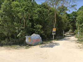  Grundstück zu verkaufen in Cozumel, Quintana Roo, Cozumel