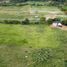  Terreno (Parcela) en venta en Alvarado, Veracruz, Alvarado, Veracruz