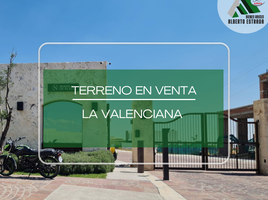 Terrain à vendre à San Felipe, Guanajuato, San Felipe