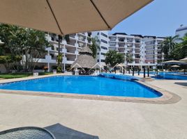 푸에르토 발라 타, 할리 스코PropertyTypeNameBedroom, 푸에르토 발라 타