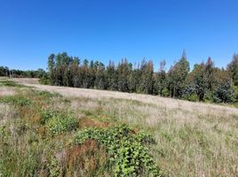  Terreno (Parcela) en venta en Valdivia, Los Ríos, Mariquina, Valdivia