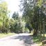  Land for sale in Pucon, Cautin, Pucon