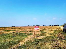  Terreno (Parcela) en venta en Chincha, Ica, Tambo de Mora, Chincha