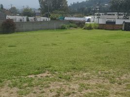  Terreno (Parcela) en venta en Tumbaco, Pichincha, Tumbaco