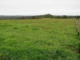  Terreno (Parcela) en venta en Los Muermos, Llanquihue, Los Muermos