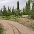  Land for sale in Confluencia, Neuquen, Confluencia