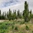  Land for sale in Confluencia, Neuquen, Confluencia