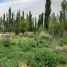  Land for sale in Confluencia, Neuquen, Confluencia