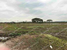  Terreno (Parcela) en venta en Samborondón, Guayas, Samborondon, Samborondón