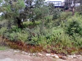  Land for sale in San Cristobal De Las Casas, Chiapas, San Cristobal De Las Casas, Chiapas