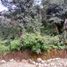  Land for sale in San Cristobal De Las Casas, Chiapas, San Cristobal De Las Casas, Chiapas