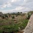  Land for sale in San Agustin Tlaxiaca, Hidalgo, San Agustin Tlaxiaca, Hidalgo